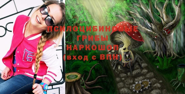винт Баксан