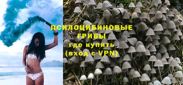 PSILOCYBIN Балабаново