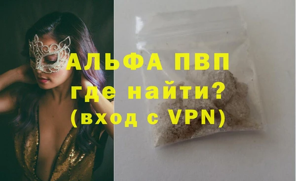 PSILOCYBIN Балабаново