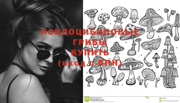 винт Баксан