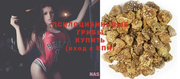 винт Баксан